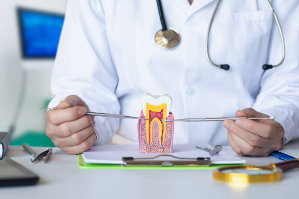 Best Dentist Open Late Near Me  in Lanse, MI